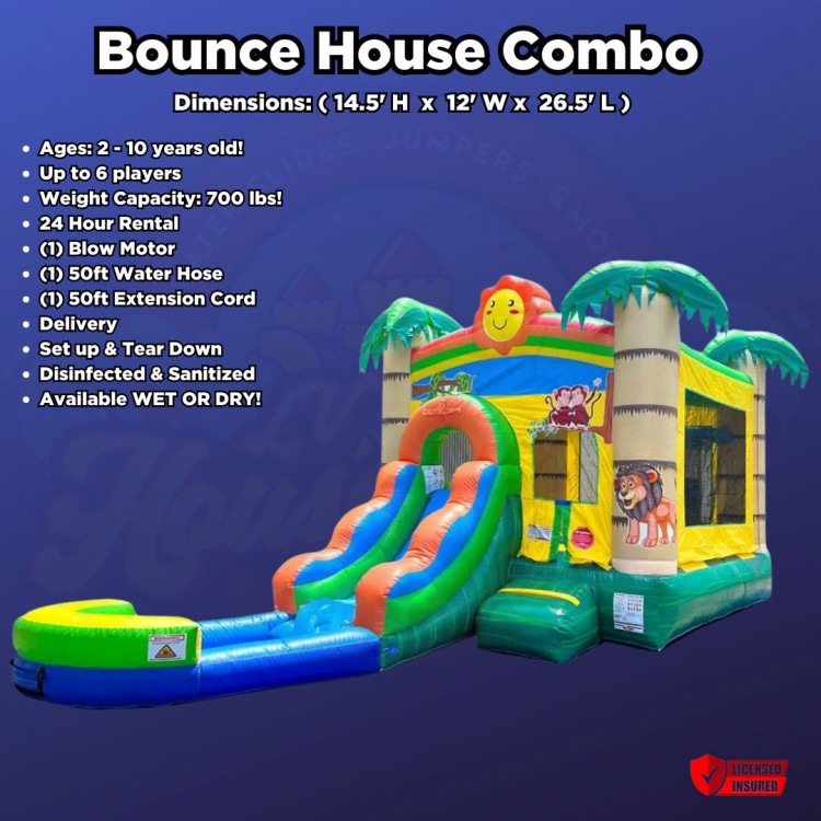 15ft Bounce House Combo